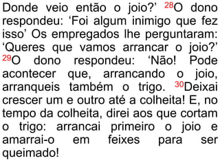 Donde veio então o joio?’ 28O dono
respondeu: ‘Foi algum inimigo que fez
isso’ Os empregados lhe perguntaram:
‘Queres que vamos arrancar o joio?’
29O dono respondeu: ‘Não! Pode
acontecer que, arrancando o joio,
arranqueis também o trigo. 30Deixai
crescer um e outro até a colheita! E, no
tempo da colheita, direi aos que cortam
o trigo: arrancai primeiro o joio e
amarrai-o em feixes para ser
queimado!
 