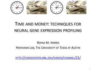 TIME AND MONEY: TECHNIQUES FOR
NEURAL GENE EXPRESSION PROFILING
RAYNA M. HARRIS
HOFMANN LAB, THE UNIVERSITY OF TEXAS AT AUSTIN
HTTP://VIDEOCENTER.MBL.EDU/VIDEOS/CHANNEL/21/
1
 