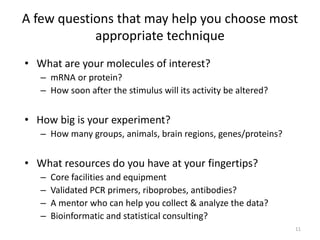 A few questions that may help you choose most
appropriate technique
• What are your molecules of interest?
– mRNA or prote...