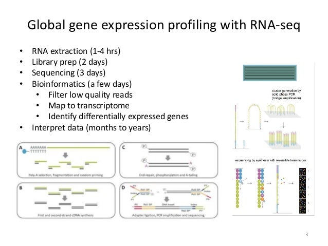 time and money techniques for neural gene expression profiling gene expression profiling