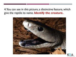 4.You can see in this picture, a distinctive feature, which
give the reptile its name. Identify the creature.
 