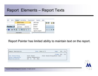 Introduction To Report Painter | PDF