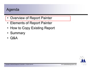 Introduction To Report Painter | PDF