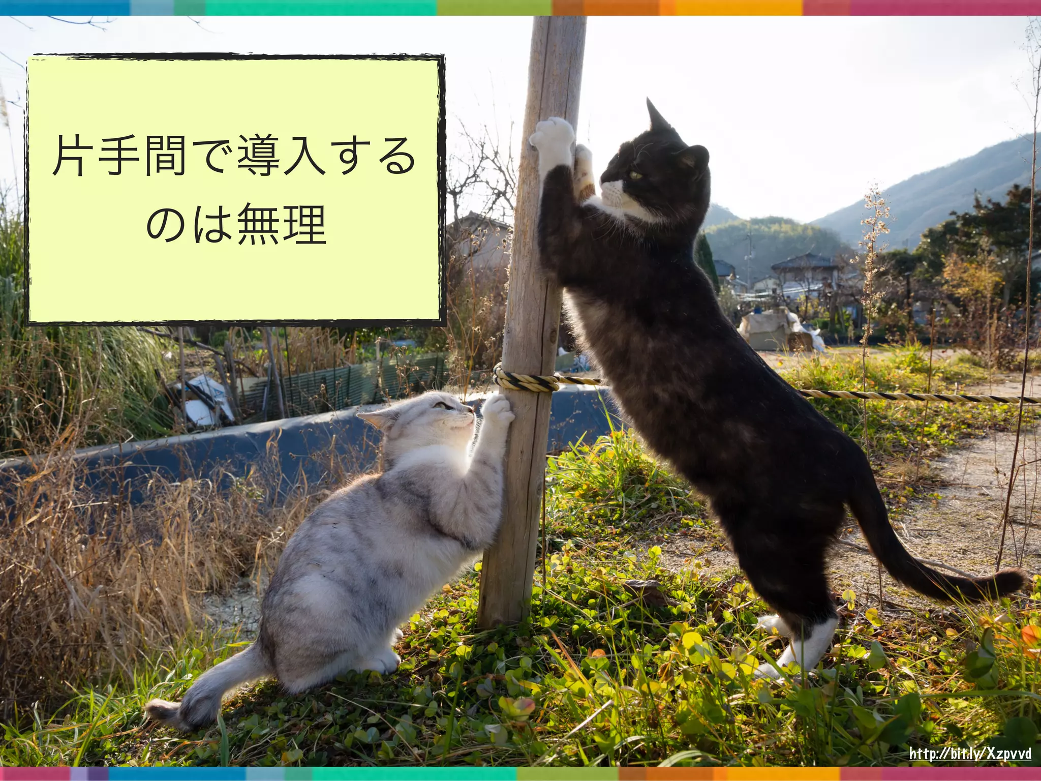 片手間で導入する
のは無理
http://bit.ly/Xzpvvd
 