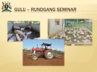 GULU – RUNDGANG SEMINAR
 