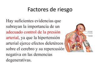 Factores de riesgo 
Hay suficientes evidencias que 
subrayan la importancia de un 
adecuado control de la presión 
arterial, ya que la hipertensión 
arterial ejerce efectos deletéreos 
sobre el cerebro y su repercusión 
negativa en las demencias 
degenerativas. 
 