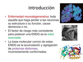 Introducción 
• Enfermedad neurodegenerativa: toda 
aquella que haga perder a las neuronas 
su estructura o su función, cause 
demencia o no. 
• El factor de riesgo más consistente 
para padecer una ENDG es la edad 
avanzada. 
• La base molecular común de estas 
ENDG es la acumulación y agregación 
de proteínas disformes, 
incorrectamente conformadas. 
 