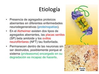 Etiología 
• Presencia de agregados proteicos 
aberrantes en diferentes enfermedades 
neurodegenerativas (proteinopatías). 
• En el Alzheimer existen dos tipos de 
agregados aberrantes, las placas seniles 
(SP) beta amiloide y los ovillos 
neurofibrilares (NFT) tau fosforilada. 
• Permanecen dentro de las neuronas sin 
ser destruidos, posiblemente porque el 
sistema (proteasoma) encargado en su 
degradación es incapaz de hacerlo. 
 