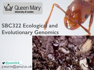 SBC322 Ecological and 
Evolutionary Genomics 
y.wurm@qmul.ac.uk 
 