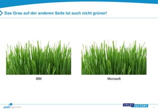 29 
Das Gras auf der anderen Seite ist auch nicht grüner! 
IBM Microsoft 
 