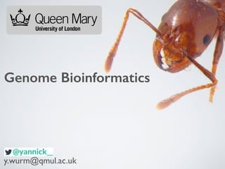 Genome Bioinformatics 
y.wurm@qmul.ac.uk 
 