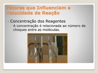 Fatores que Influenciam a
Velocidade de Reação
 Concentração dos Reagentes
◦ A concentração é relacionada ao número de
choques entre as moléculas.
 