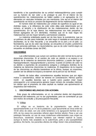 transferido a los queratinocitos de su unidad melanoepidérmica para cumplir 
con su función de dar color y de proteger la piel. En el interior de los 
queratinocitos los melanososmas se hallan sueltos o en agregados de 2-4 
elementos en vesículas limitadas por una membrana. Una vez en el interior del 
queratinocito se inicia un proceso de degeneración de los melanososmas. 
El número total de melanocitos por unidad de superficie es igual en las 
distintas razas, y la diferencia de color entre ellas está determinada por el 
número, el tamaño y la distribución de los melanososmas dentro de los 
queratinocitos. En la raza blanca, los melaonosomas son más pequeños y 
forman agregados de 2-4 elementos, mientras que en la raza negra los 
melanosomas son de mayor tamaño y permanecen aislados. 
La melanina sintetizada puede ser de tres tipos: la eumelanina, que es 
un polímero de alto peso molecular, de color negro e insoluble en casi todos los 
disolventes, es la más frecuente, y se encuentra en la piel y en el pelo. La 
feomelanina, que es de color rojo-naranja, se encuentra en el pelo y predomina 
en las personas pelirrojas. La neuromelanina, que es de color marrón-negro se 
encuentra en distintas zonas del SNC. 
4 
DISCROMÍAS 
Las enfermedades que cursan con cambios del color normal de la piel se 
denominan discromías. Si el cambio de color es debido a un exceso o un 
defecto de la melanina se denomina discromía melánica; y puede dar lugar a 
hiperpigmentación, hipopigmentación y acromía. Cuando el cambio de color no 
es debido a pigmentos de procedencia exógena o endógena distintos de la 
melanina se denomina discromías no melánicas. El diagnóstico de la mayoría 
de las discromías se efectúa basándose en la clínica, aunque, en ocasiones, 
pueden ser de utilidad la biopsia y el examen de la piel con luz de Wood. 
Dentro de todas ellas; comentaremos aquellas lesiones que por algún 
motivo o característica, deban de tenerse en consideración. Hemos querido 
incidir en aquellas lesiones que a nuestro juicio pueden crear mayor 
preocupación y en consecuencia generar mayor número de consultas médicas; 
sin olvidar que el propósito de este capítulo es realizar una aproximación al 
diagnóstico del melanoma. 
I. DISCROMÍAS MELÁNICAS CON ACROMÍA 
Este grupo de enfermedades, en sí; no entrarían dentro del diagnóstico 
diferencial del melanoma, por no ser pigmentadas, pero se comentarán ya que 
son motivo de consulta y de preocupación frecuente. 
1) Vitíligo 
El vitíligo es un trastorno de la pigmentación, que afecta a 
aproximadamente a un 1% de la población, y que típicamente se inicia entre los 
10-30 años de edad, con una cierta tendencia a la agrupación familiar (en un 
20% de los casos los pacientes refieren algún familiar afecto). Pese a ser una 
patología frecuente, es una de esas misteriosas enfermedades cuyo origen se 
desconoce, existiendo diversas hipótesis que intentan explicar la causa, 
aunque la teoría más aceptada es la autoinmune, junto a una susceptibilidad 
genética. De hecho, los pacientes afectos de vitíligo tienen más probabilidades 
 