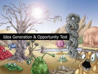 Idea Generation & Opportunity Test 
 