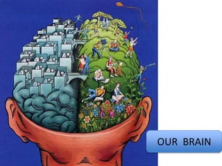 OUR BRAIN 
 