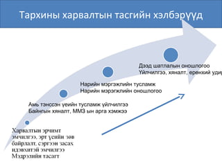 Тархины харвалтын тасгийн хэлбэр дүү
Амь тэнссэн үеийн тусламж үйлчилгээ
Байнгын хяналт, ММЗ ын арга хэмжээ
Нарийн мэргэжлийн тусламж
Нарийн мэрэгжлийн оношлогоо
Дээд шатлалын оношлогоо
Үйлчилгээ, хяналт, ерөнхий удир
 