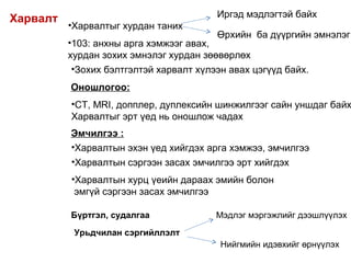 Харвалт
•Харвалтыг хурдан таних
•103: анхны арга хэмжээг авах,
хурдан зохих эмнэлэг хурдан зөөвөрлөх
•Зохих бэлтгэлтэй харвалт хүлээн авах цэгүүд байх.
Оношлогоо:
Иргэд мэдлэгтэй байх
Өрхийн ба дүүргийн эмнэлэг
•CT, MRI, допплер, дуплексийн шинжилгээг сайн уншдаг байх
Харвалтыг эрт үед нь оношлож чадах
Эмчилгээ :
•Харвалтын эхэн үед хийгдэх арга хэмжээ, эмчилгээ
•Харвалтын сэргээн засах эмчилгээ эрт хийгдэх
•Харвалтын хурц үеийн дараах эмийн болон
эмгүй сэргээн засах эмчилгээ
Бүртгэл, судалгаа
Урьдчилан сэргийллэлт
Мэдлэг мэргэжлийг дээшлүүлэх
Нийгмийн идэвхийг өрнүүлэх
 
