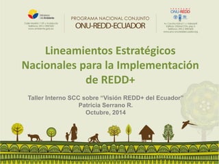 Lineamientos Estratégicos Nacionales para la Implementación de REDD+ 
Taller Interno SCC sobre “Visión REDD+ del Ecuador” 
Patricia Serrano R. 
Octubre, 2014  