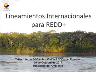 Lineamientos Internacionales 
para REDD+ 
Taller Interno SCC sobre Visión REDD+ del Ecuador 
29 de Octubre de 2014 
Ministerio del Ambiente 
 