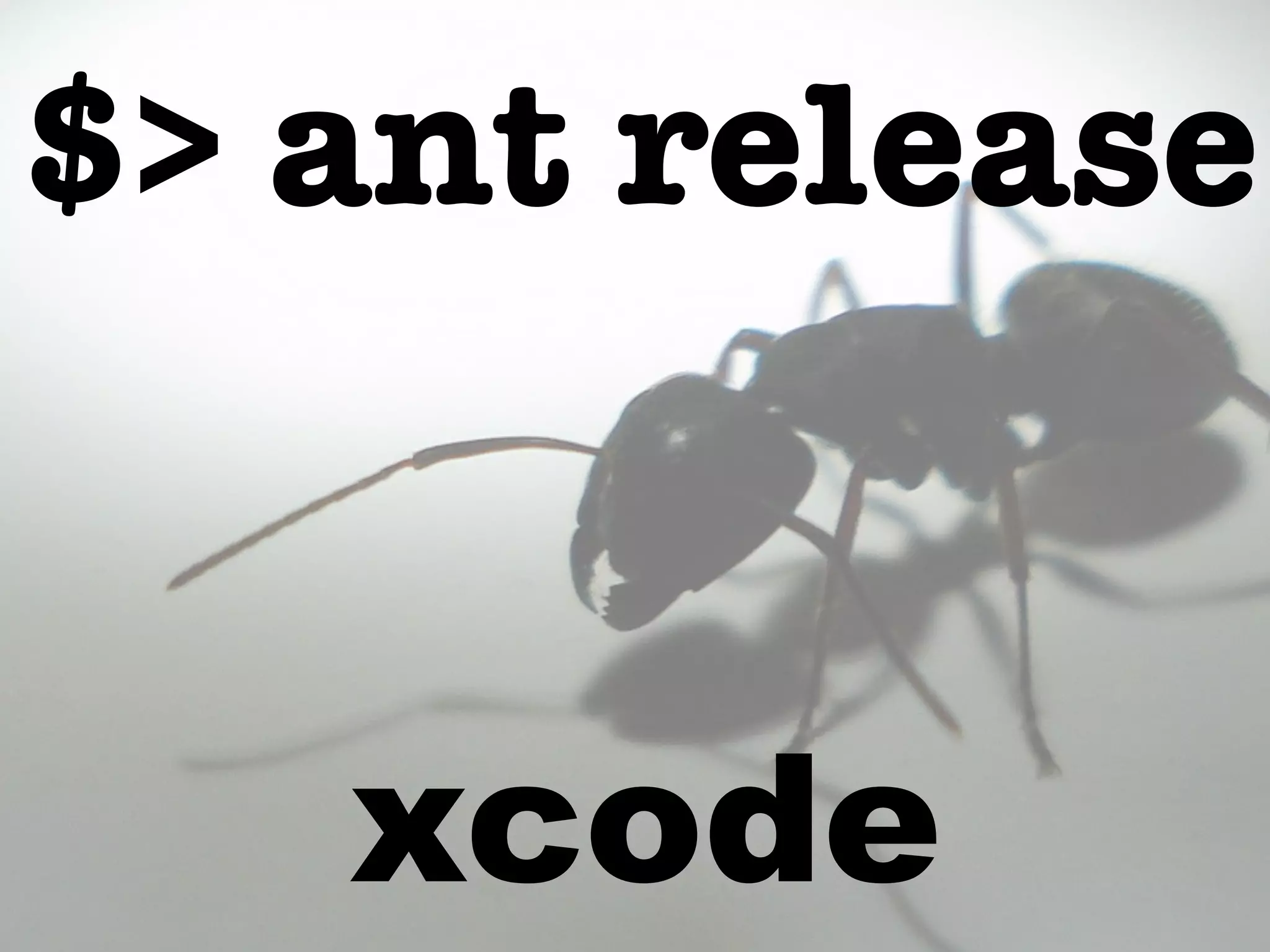 $> ant reSlHeaIPs!e 
xcode 
 