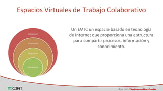 Espacios virtuales de trabajo colaborativo