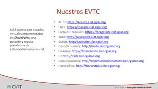 Espacios virtuales de trabajo colaborativo