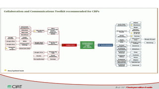 Espacios virtuales de trabajo colaborativo