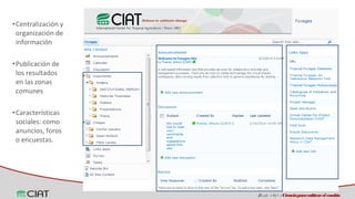 Espacios virtuales de trabajo colaborativo