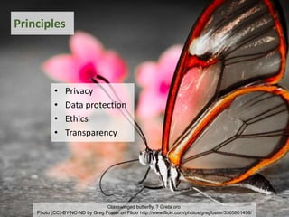 Glasswinged butterfly, ? Greta oro
Photo (CC)-BY-NC-ND by Greg Foster on Flickr http://www.flickr.com/photos/gregfoster/3365801458/
Principles
• Privacy
• Data protection
• Ethics
• Transparency
 