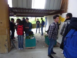 2014 11-16 - magusto