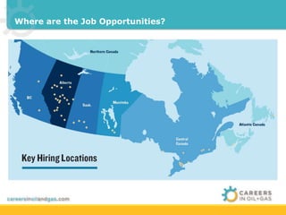 Where are the Job Opportunities? 
 