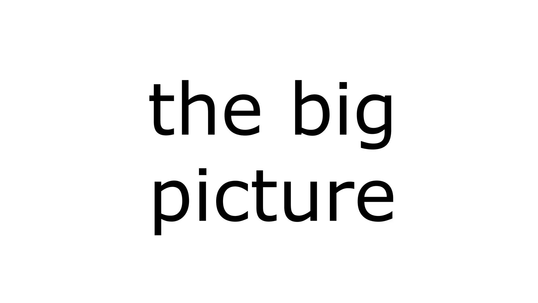 the big 
picture 
 
