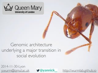 Genomic architecture 
underlying a major transition in 
social evolution 
2014-11-30-Lyon 
y.wurm@qmul.ac.uk http://wurmlab.github.io 
 