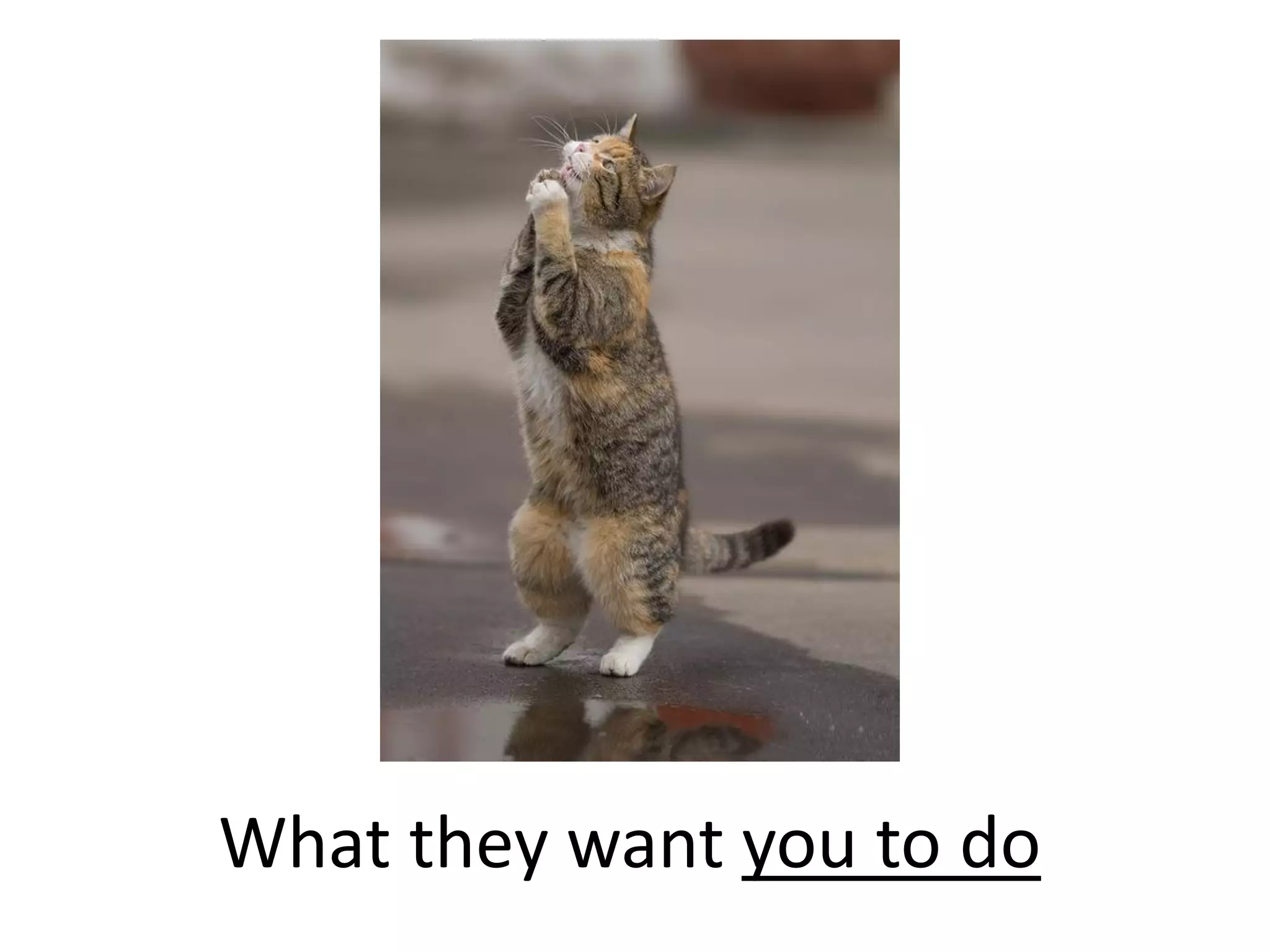 What they want you to do  