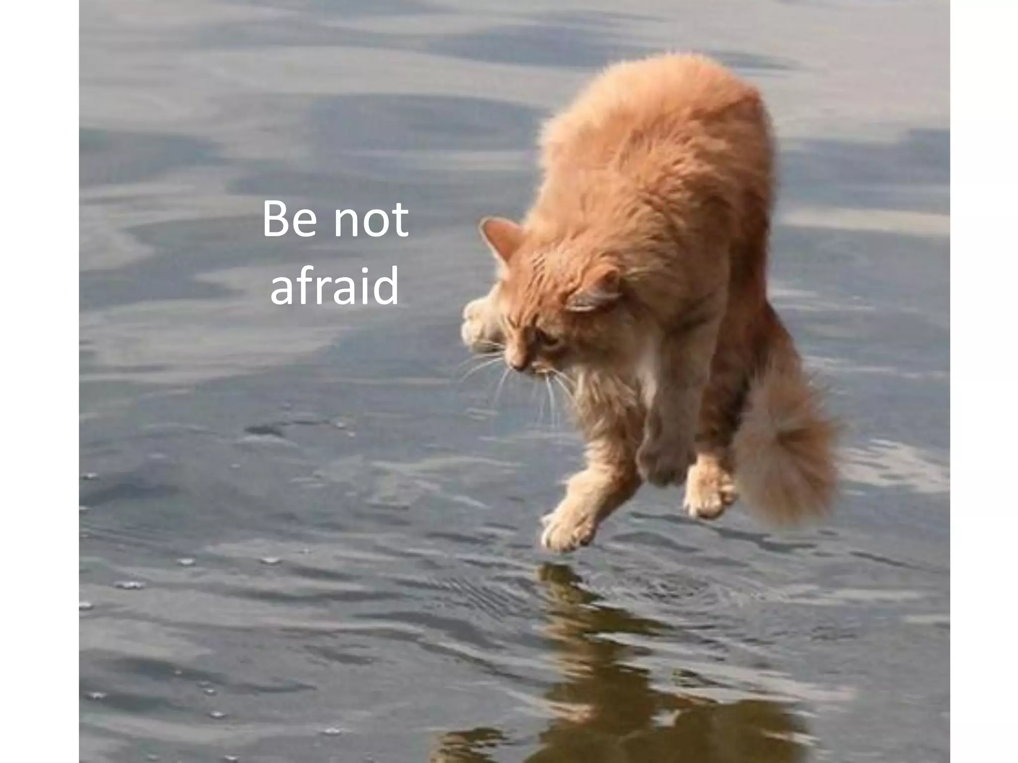 Be not afraid 
