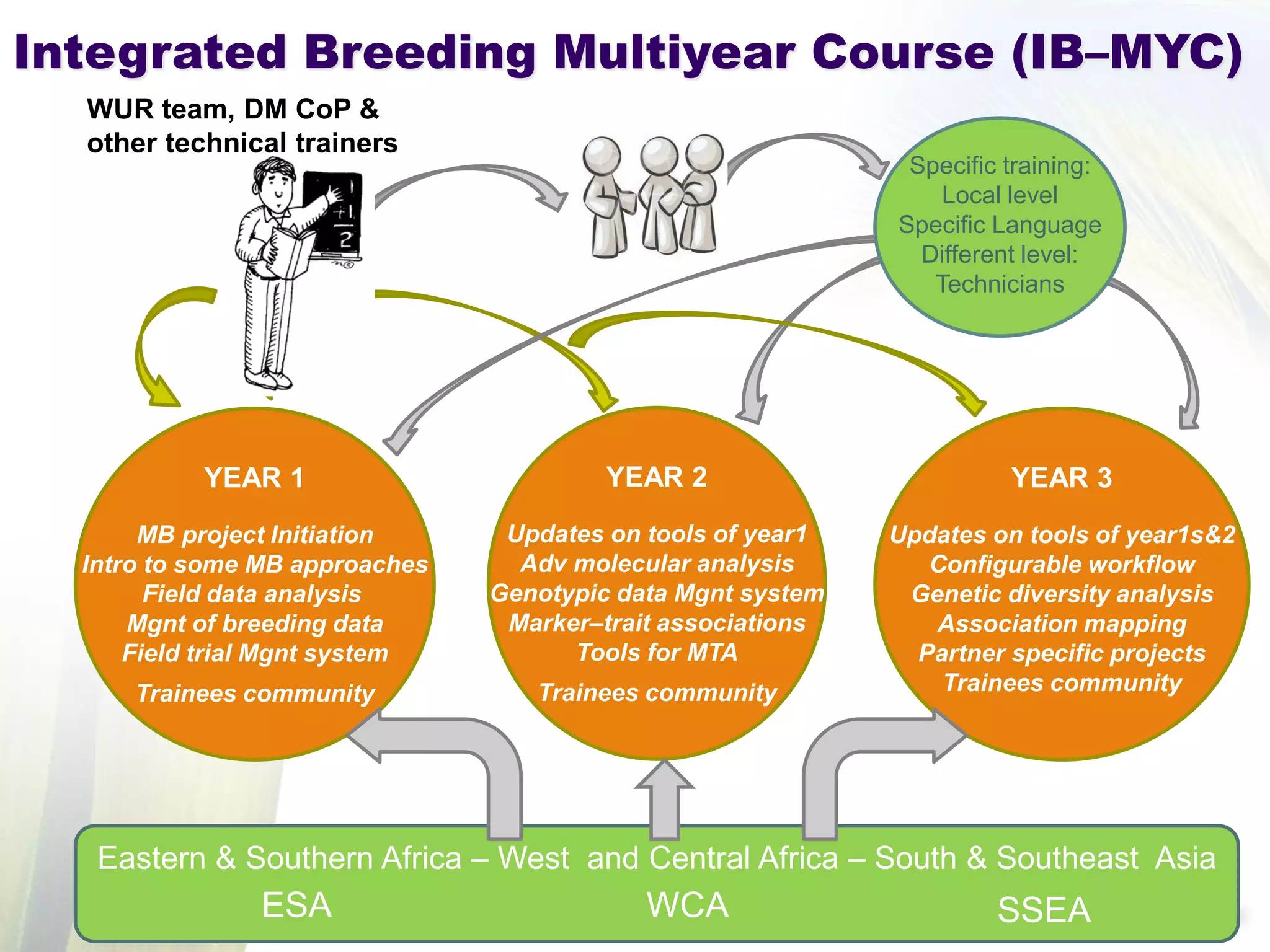 Eastern & Southern Africa – West and Central Africa – South & Southeast Asia 
YEAR 1 MB project Initiation Intro to some MB approaches Field data analysis Mgnt of breeding data Field trial Mgnt system Trainees community 
YEAR 2 Updates on tools of year1 Adv molecular analysis Genotypic data Mgnt system Marker–trait associations Tools for MTA Trainees community 
YEAR 3 Updates on tools of year1s&2 Configurable workflow Genetic diversity analysis Association mapping Partner specific projects Trainees community 
WUR team, DM CoP & other technical trainers 
Specific training: Local level Specific Language Different level: Technicians 
Integrated Breeding Multiyear Course (IB–MYC) 
ESA 
WCA 
SSEA  