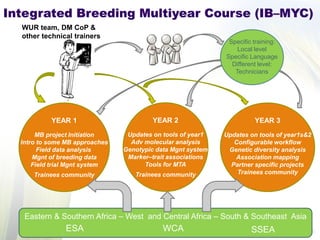 Eastern & Southern Africa – West and Central Africa – South & Southeast Asia 
YEAR 1 MB project Initiation Intro to some MB approaches Field data analysis Mgnt of breeding data Field trial Mgnt system Trainees community 
YEAR 2 Updates on tools of year1 Adv molecular analysis Genotypic data Mgnt system Marker–trait associations Tools for MTA Trainees community 
YEAR 3 Updates on tools of year1s&2 Configurable workflow Genetic diversity analysis Association mapping Partner specific projects Trainees community 
WUR team, DM CoP & other technical trainers 
Specific training: Local level Specific Language Different level: Technicians 
Integrated Breeding Multiyear Course (IB–MYC) 
ESA 
WCA 
SSEA  