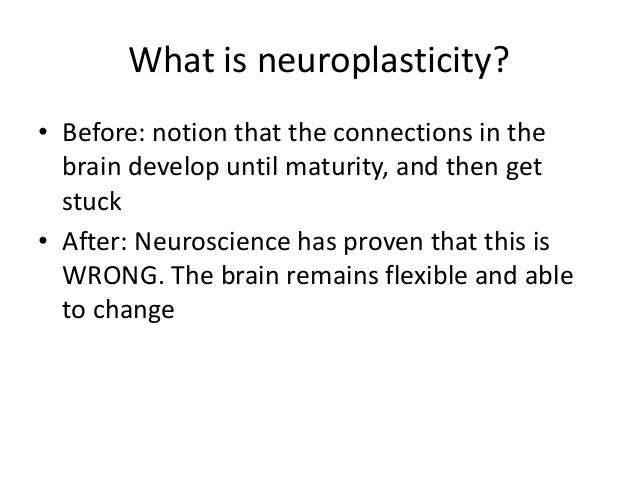 What is neuroplasticity?
