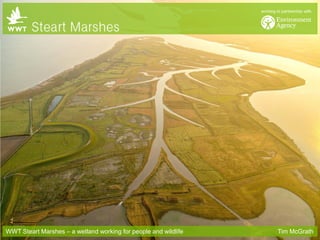 WWT Steart Marshes – a wetland working for people and wildlife Tim McGrath  