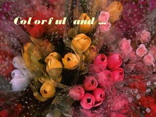 Col or f ul and ...

 