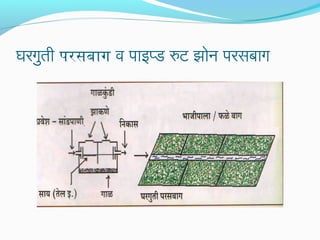 घरगुती परसबाग व पाइप्ड रुट झोन परसबाग

 