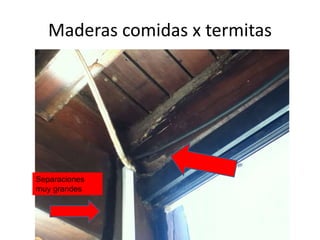 Maderas comidas x termitas

Separaciones
muy grandes

 
