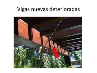 Vigas nuevas deterioradas

 