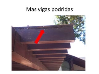 Mas vigas podridas

 