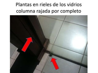 Plantas en rieles de los vidrios
columna rajada por completo

 