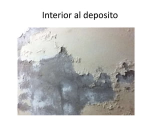 Interior al deposito

 