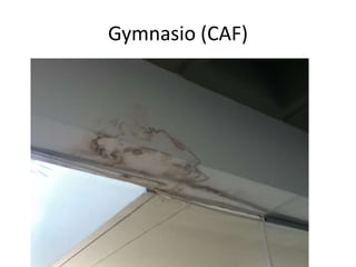 Gymnasio (CAF)

 