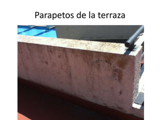 Parapetos de la terraza

 
