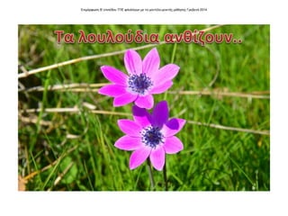 Επιμόρφωση Β' επιπέδου ΤΠΕ φιλολόγων με το μοντέλο μεικτής μάθησης Γρεβενά 2014
 