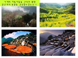 사계의 아름다움을 간직한 황령
일년내내 꽃밭을 감상할수있는곳 !!
더존투어 1600-6578
 